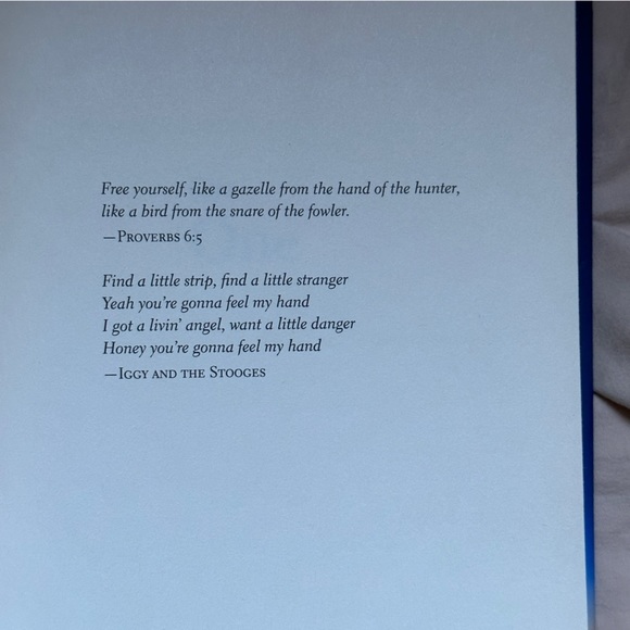 🟢 Shadow Man: A Novel by Alan Drew | Literary Fiction | Hardcover Book - Picture 6 of 8